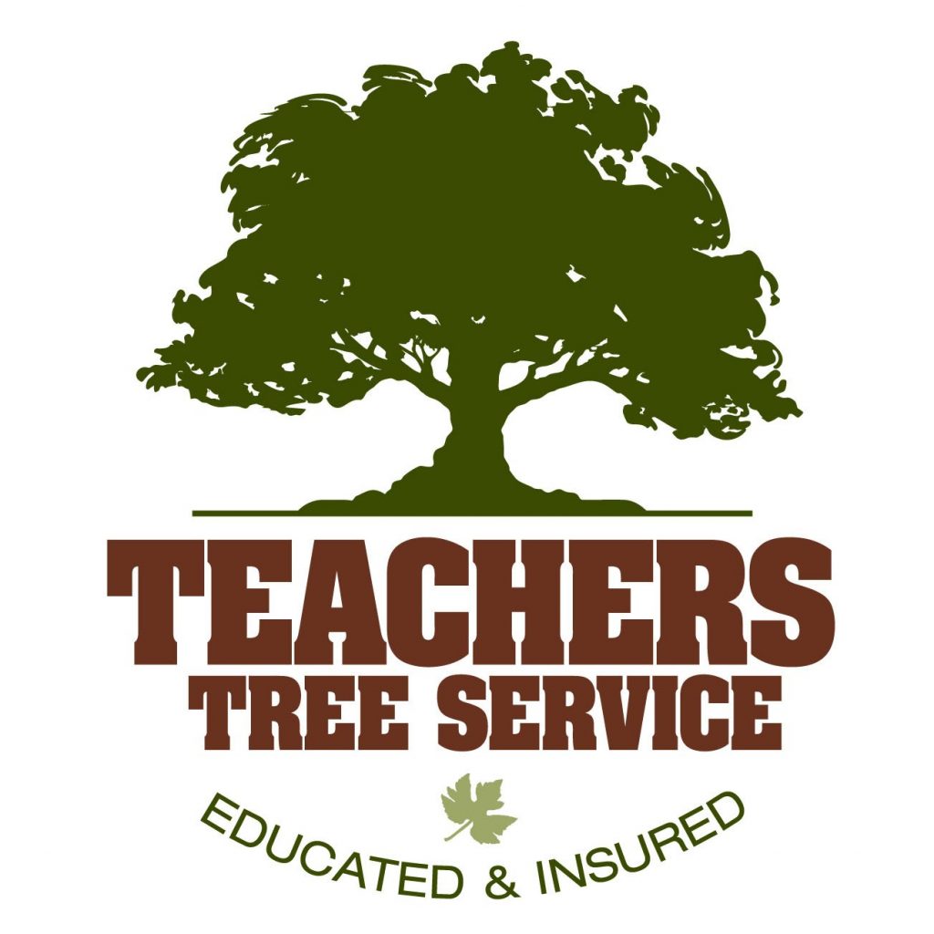 teachers tree service logo